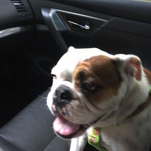 Meet your Posher, Eric